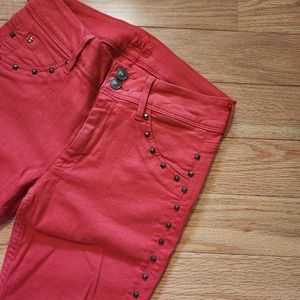 Studded Skinny Hudson Jeans